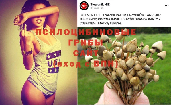 дмт Балабаново